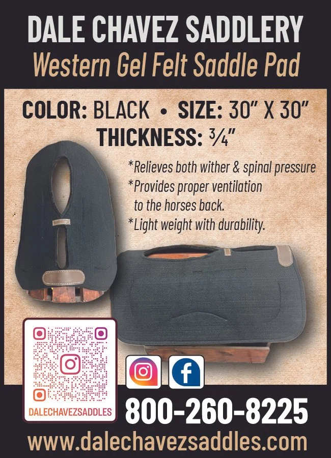 Silver Show Saddles — Shop | Discover Quality Equestrian Gear